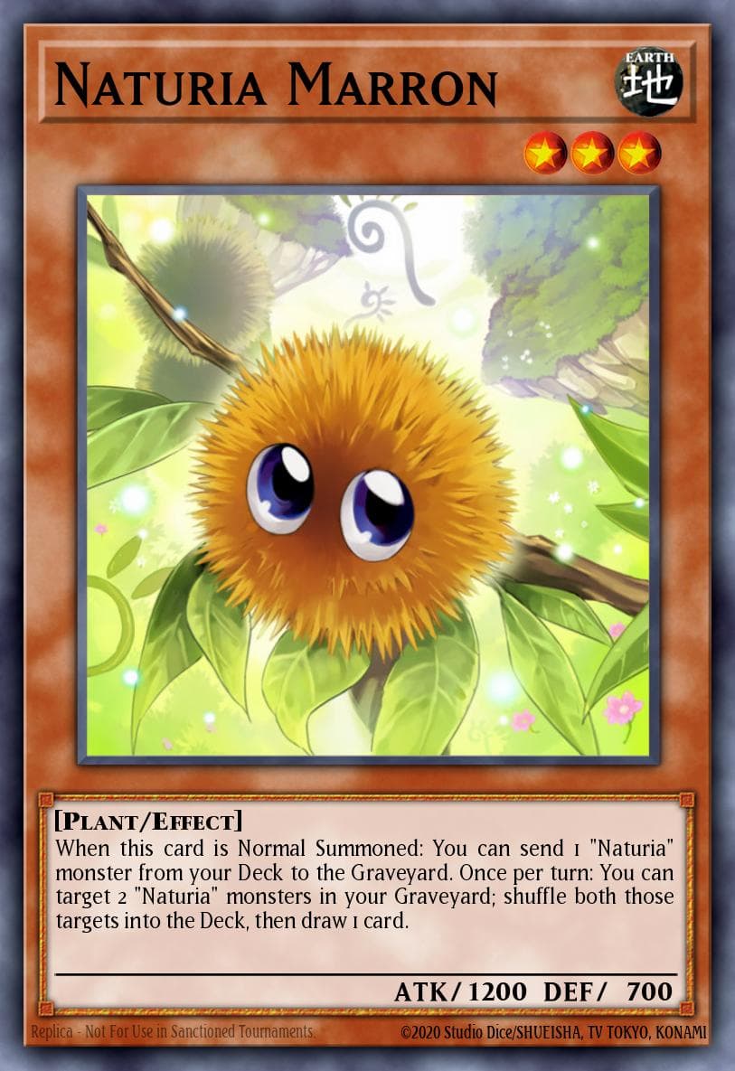 Naturia Marron